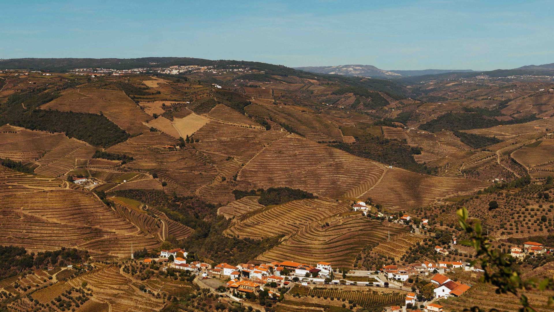 Parte II: Quinta do Combro e as Vinhas Velhas do Douro