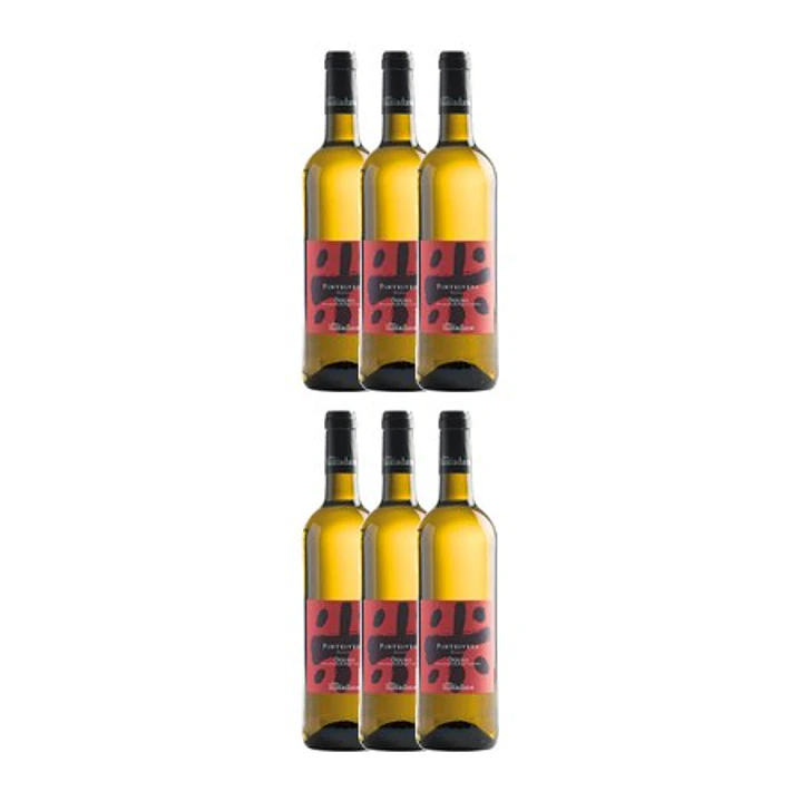 Michel Chapoutier Pinteivera White Douro 2017 4