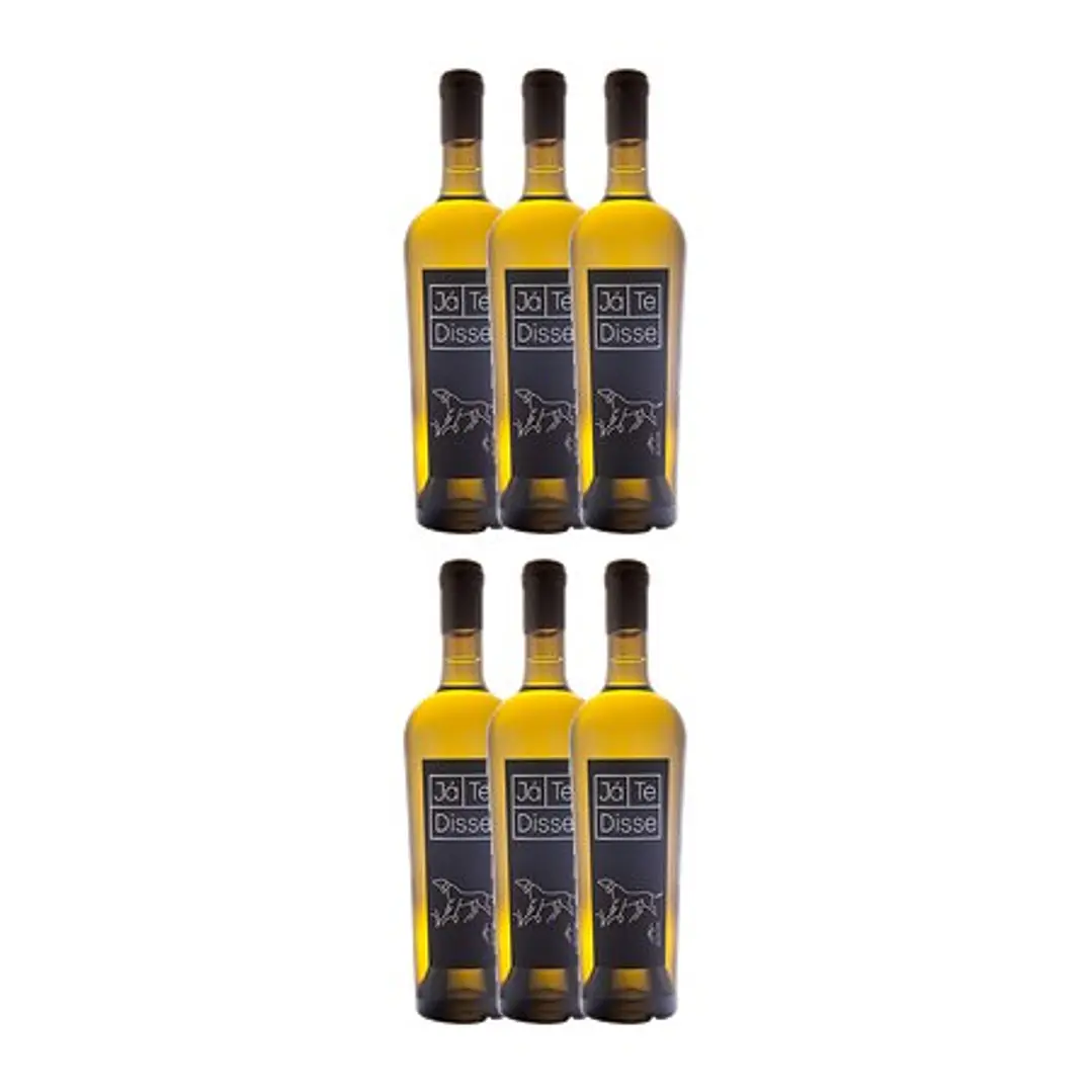 Já Te Disse Blanco Viognier 2020 4