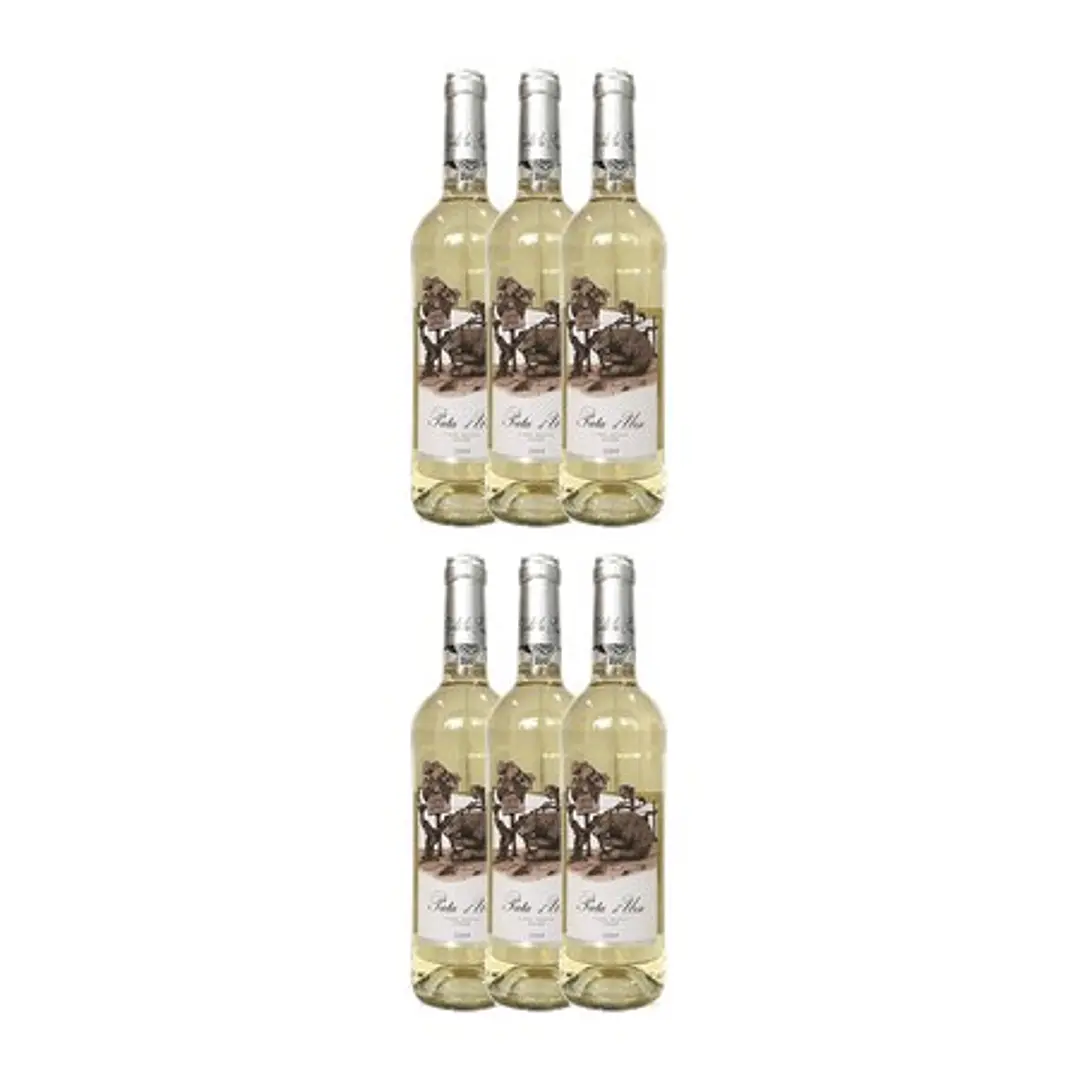 Pata D'Urso White Castas Antigas - Douro 2019 4