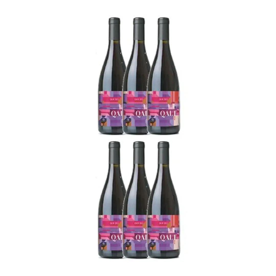 Quinta Alta - Qalt Tinta Barroca Rouge Douro 2022 4