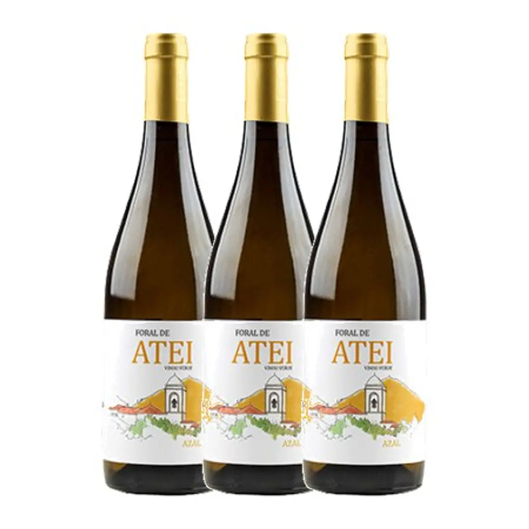 Foral de ATEI - Azal - Vinho Verde White 2023 - 75cl 3