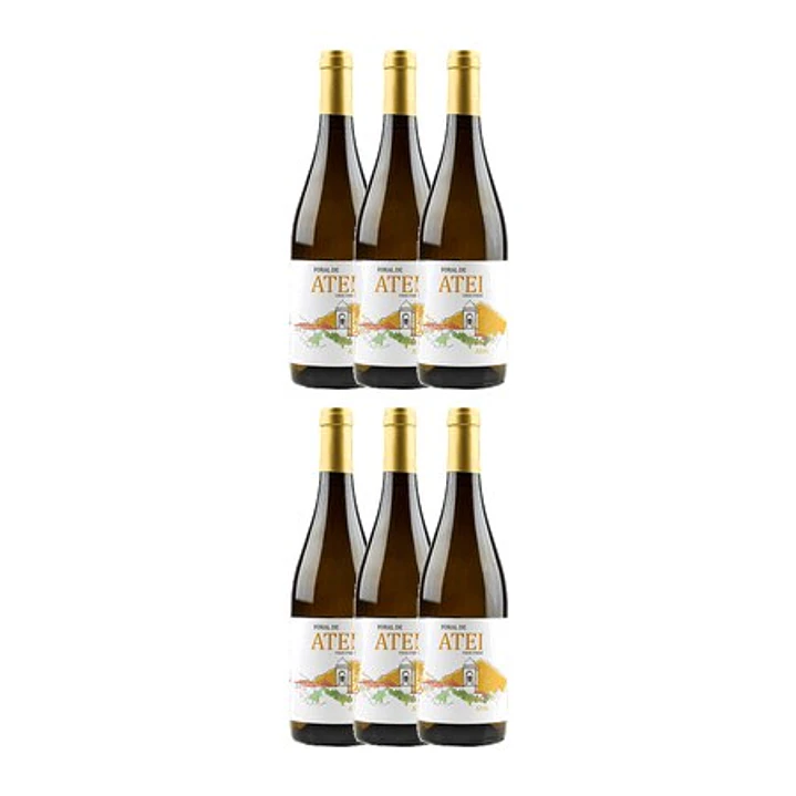 Foral de ATEI - Azal - Vinho Verde White 2023 - 75cl 4
