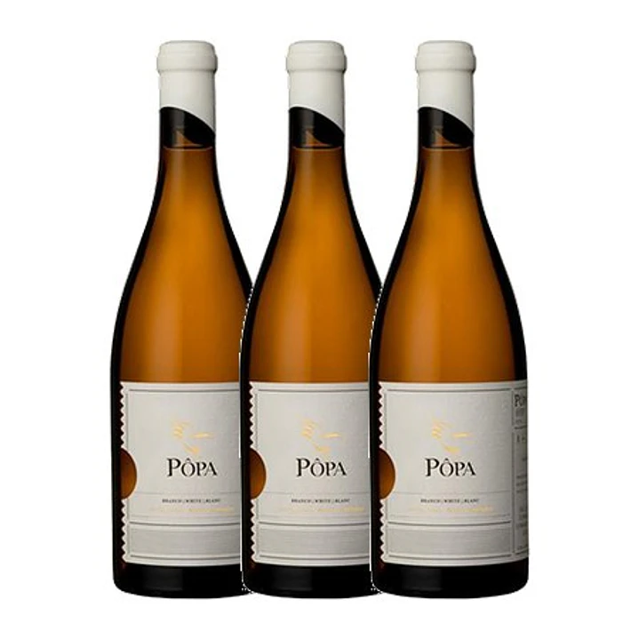 PÔPA AMPHORA White DOC DOURO 2019 - 75cl  3