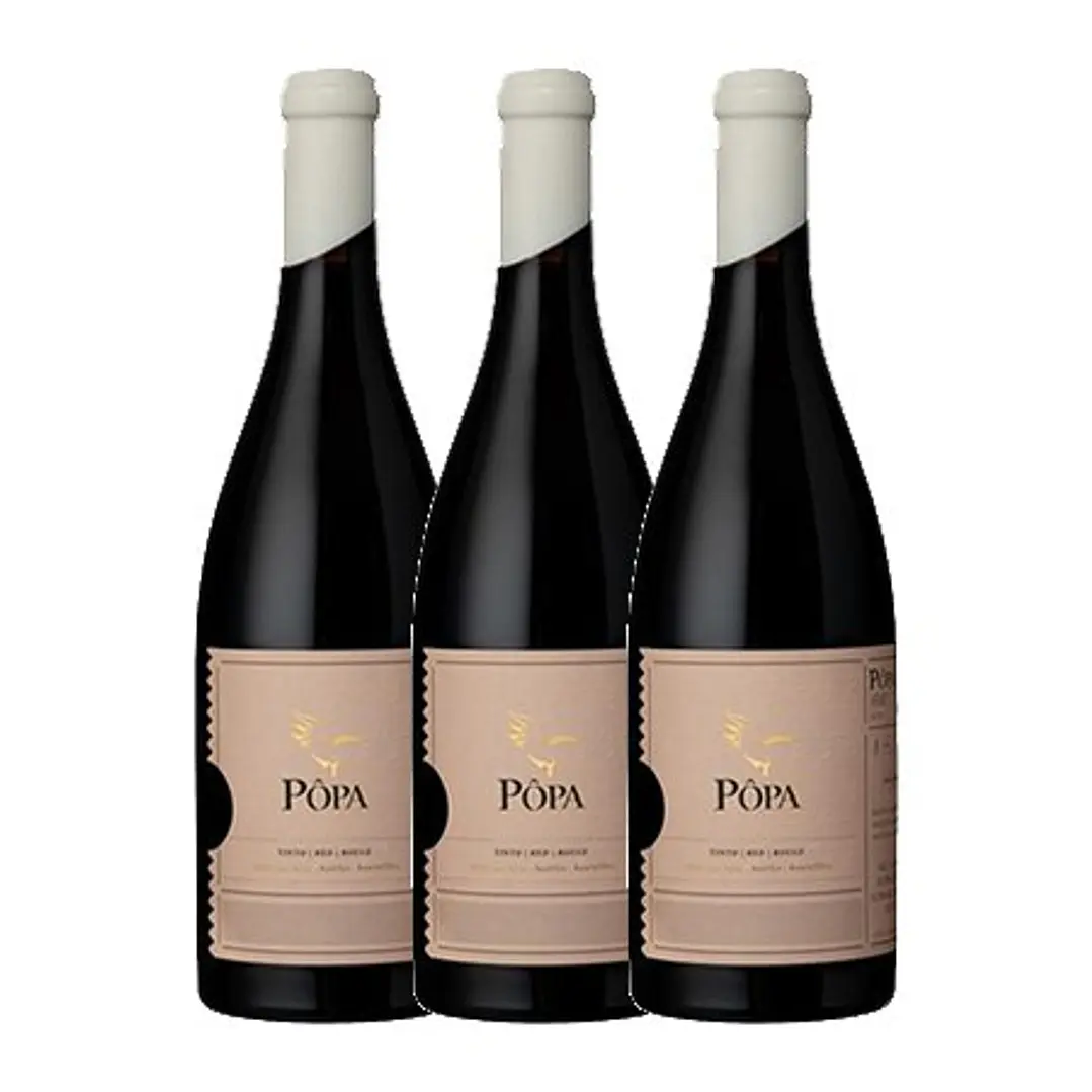 PÔPA AMPHORA Red DOC DOURO 2019 - 75cl 3