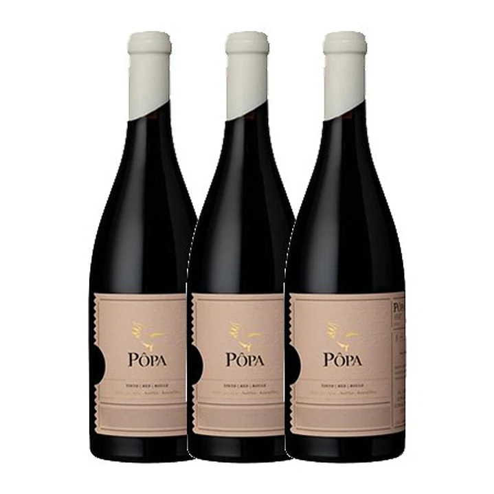 PÔPA AMPHORA Red DOC DOURO 2019 - 75cl 3