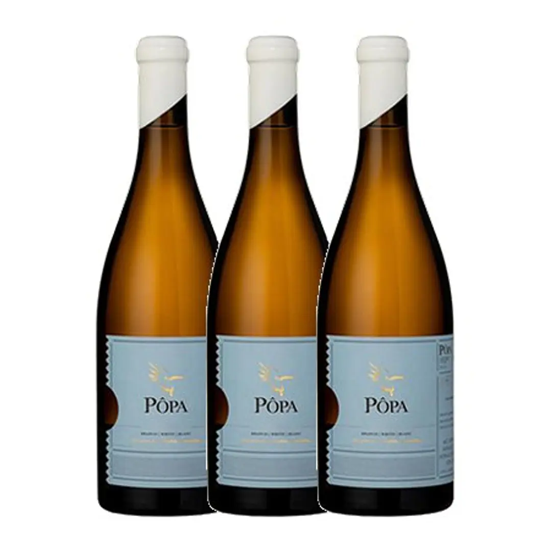 PÔPA CURTIMENTA White DOC DOURO 2020 - 75cl 3