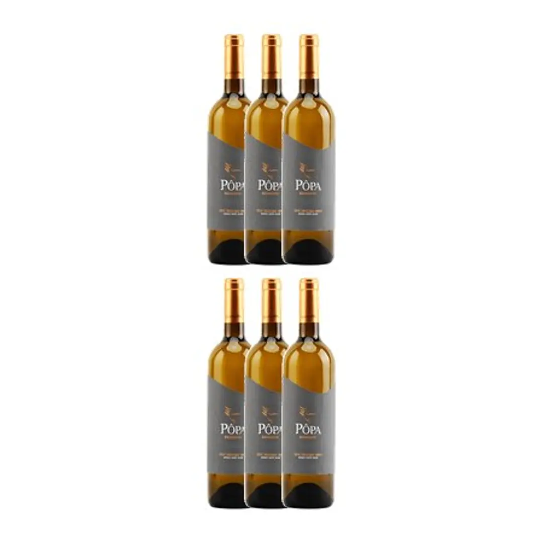 PÔPA RESERVE Branco DOC DOURO 2022 - 75cl 4