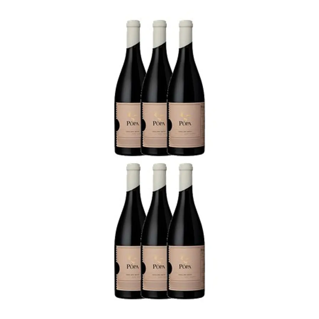PÔPA AMPHORA Red DOC DOURO 2019 - 75cl 4