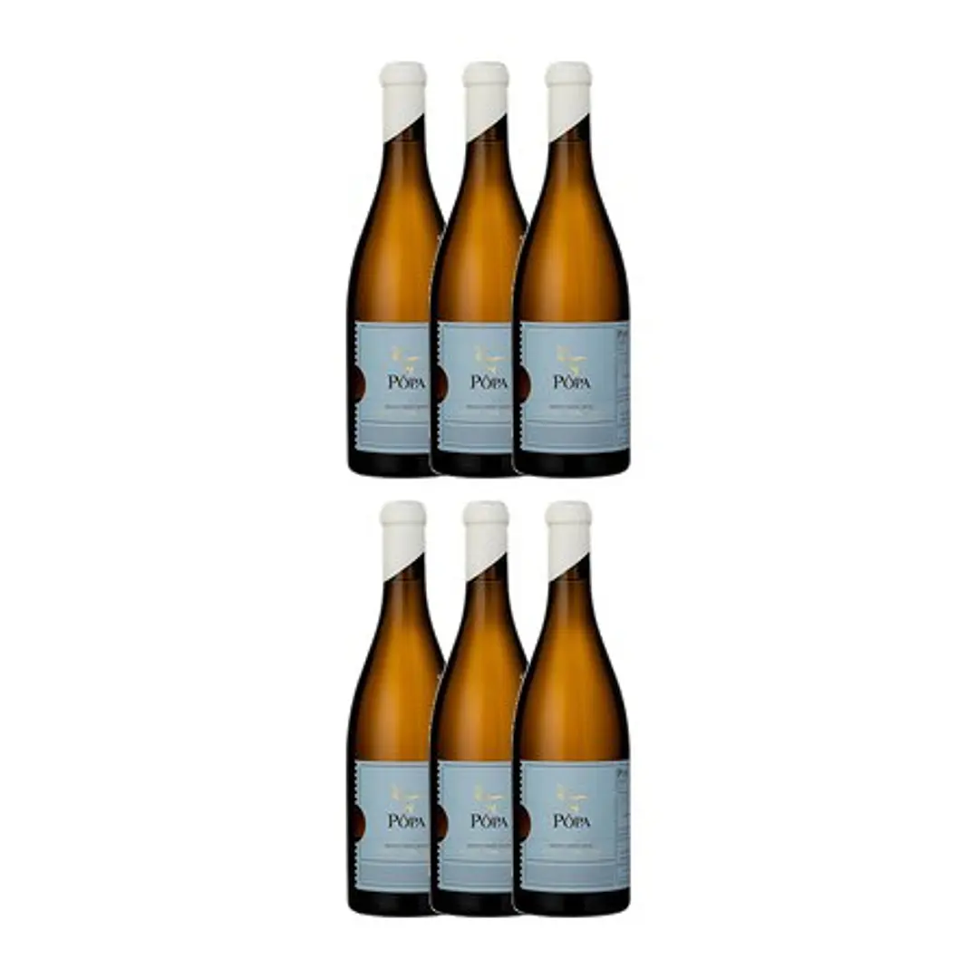 PÔPA CURTIMENTA White DOC DOURO 2020 - 75cl 4