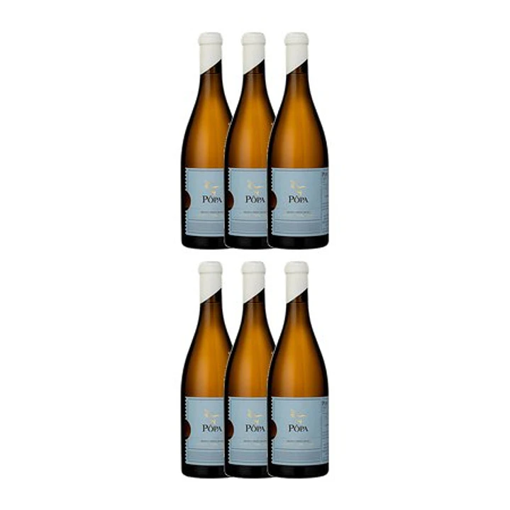 PÔPA CURTIMENTA White DOC DOURO 2020 - 75cl 4