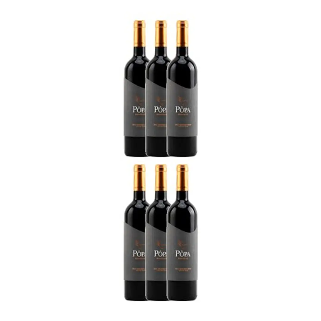 PÔPA RESERVE Red DOC DOURO 2021 - 75cl 4
