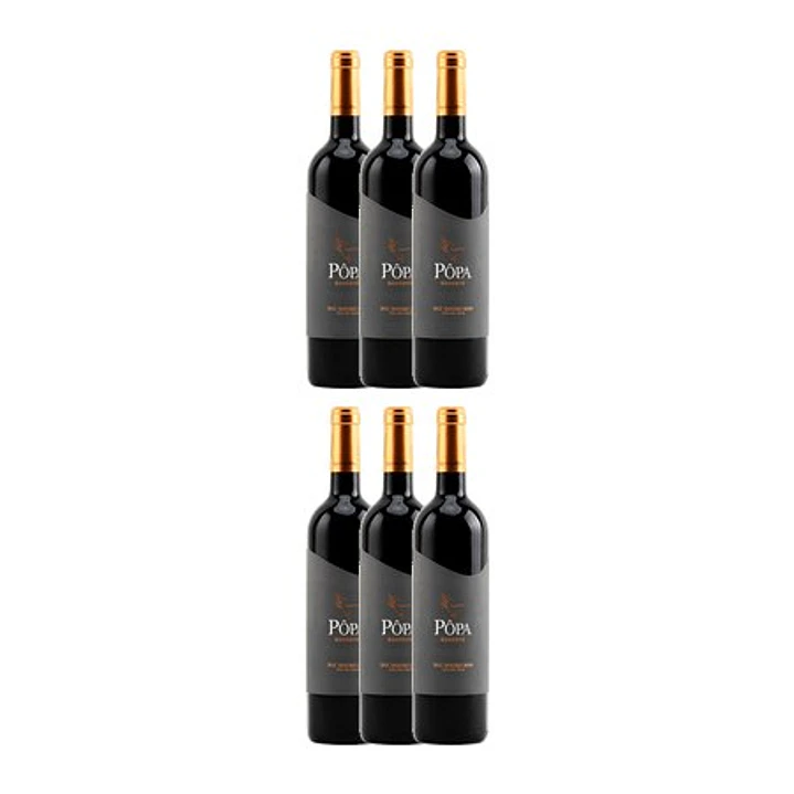 PÔPA RESERVE Red DOC DOURO 2021 - 75cl 4