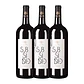 Lima Mayer SUBSÍDIO Magnum - Vinho Regional Alentejano Tinto 2018 - Vorschaubild 3