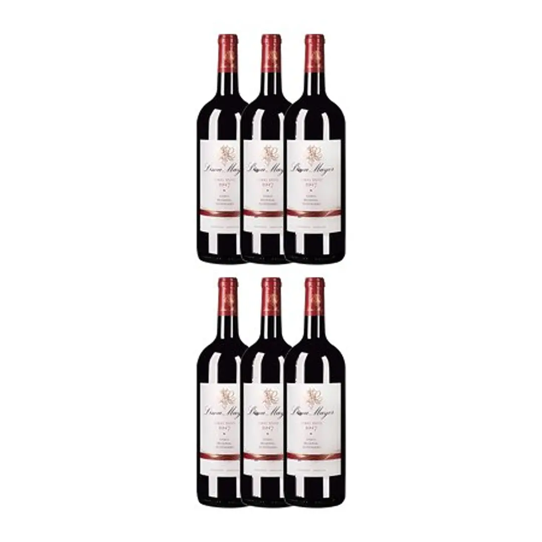 Lima Mayer Magnum - Vinho Regional Alentejano Tinto 2017 4