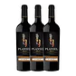 Quinta da PLANSEL CS Touriga Nacional Red Alentejo 2023 - thumbnail 3