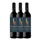Quinta da PLANSEL Alicante Bouschet Rouge Alentejo 2023 - vignette 3