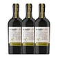 (À PARTE)  100% Arinto DOC Bucelas Bio 2021 White Wine - miniatura 3