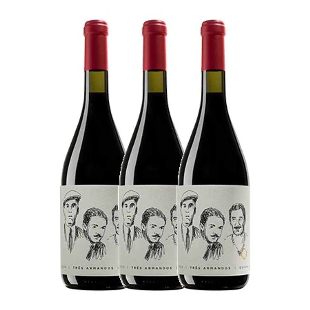 QUINTA DE LEMOS - Três Armandos - DÃO Red 2015 - 75cl 3