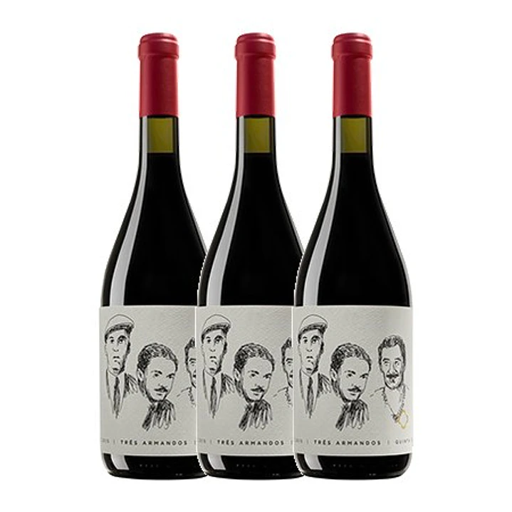 QUINTA DE LEMOS - Três Armandos - DÃO Red 2015 - 75cl 3
