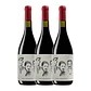 QUINTA DE LEMOS - Três Armandos - DÃO Red 2015 - 75cl - miniatura 3