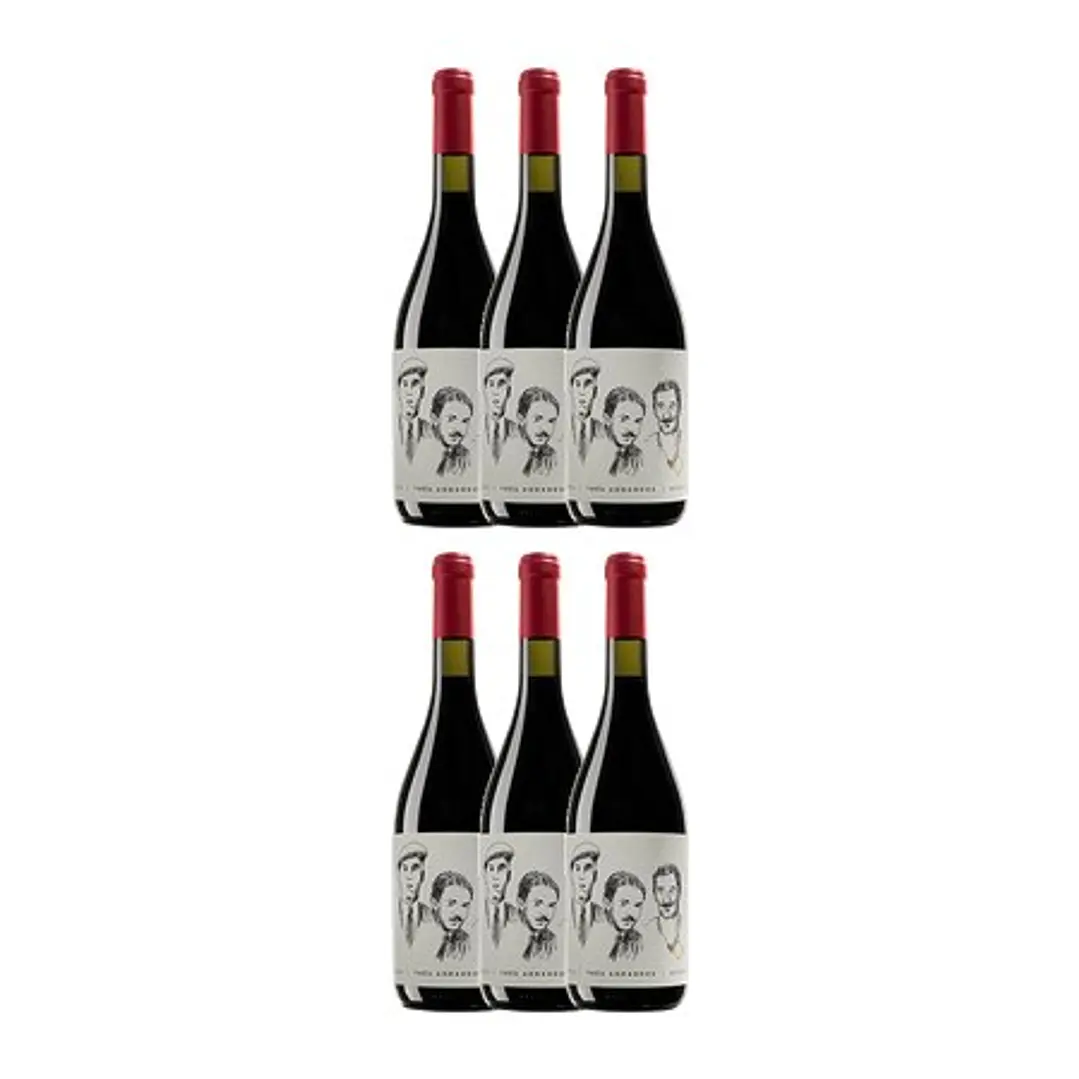 QUINTA DE LEMOS - Três Armandos - DÃO Red 2015 - 75cl 4