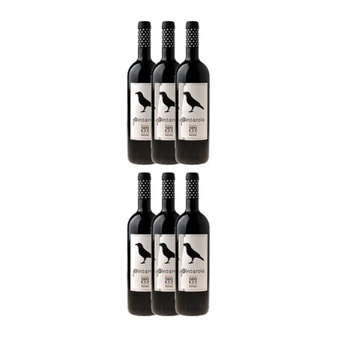 PINTAROLA RESERVA RED 2013 4