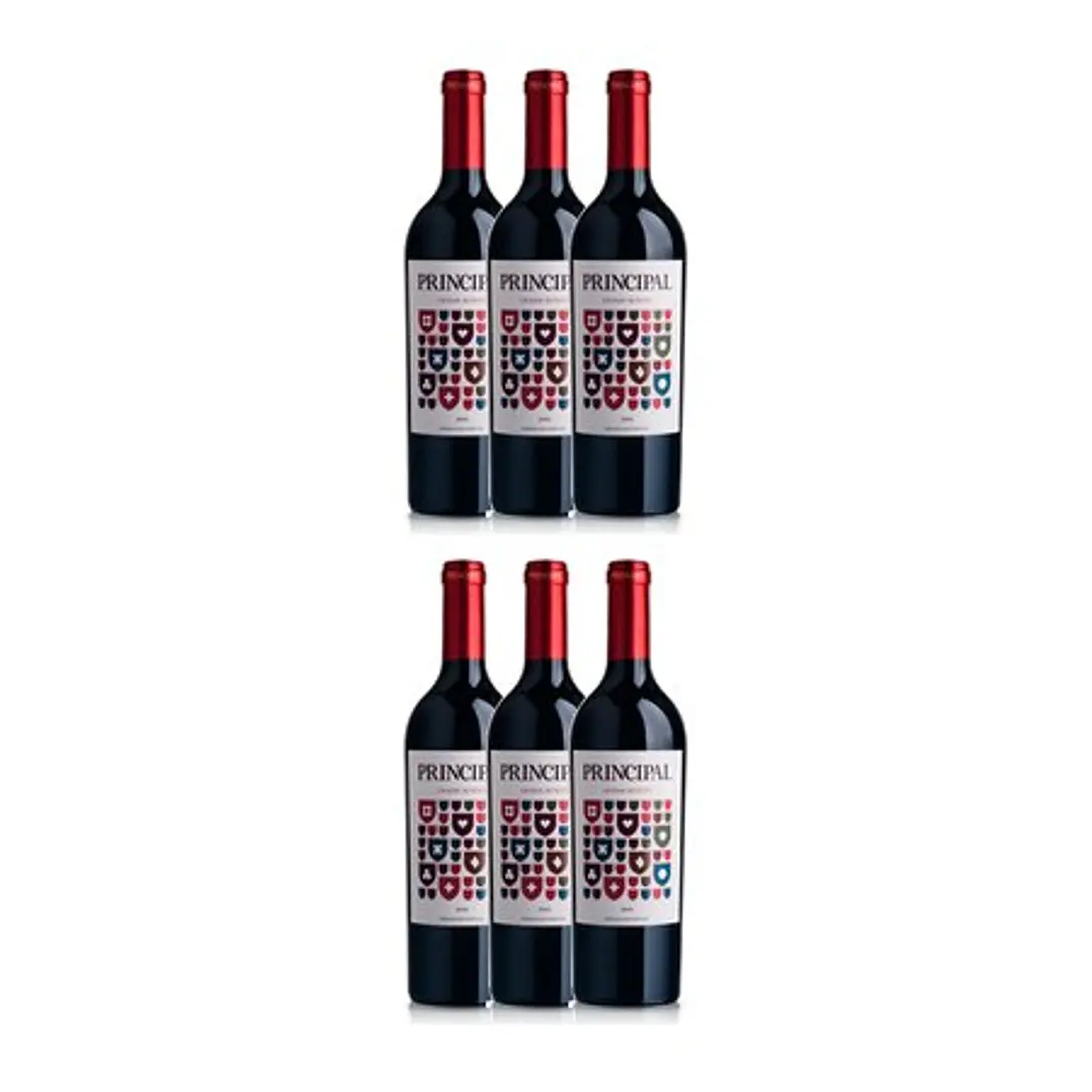 Principal Grande Reserva Tinto Bairrada 2008 4