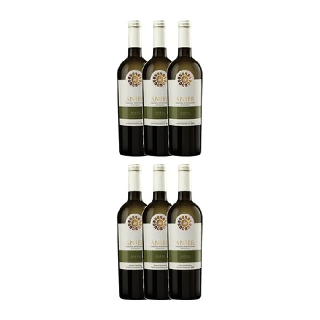 ANIER Selected Vintage Verdejo White Rueda 2018 75cl 4