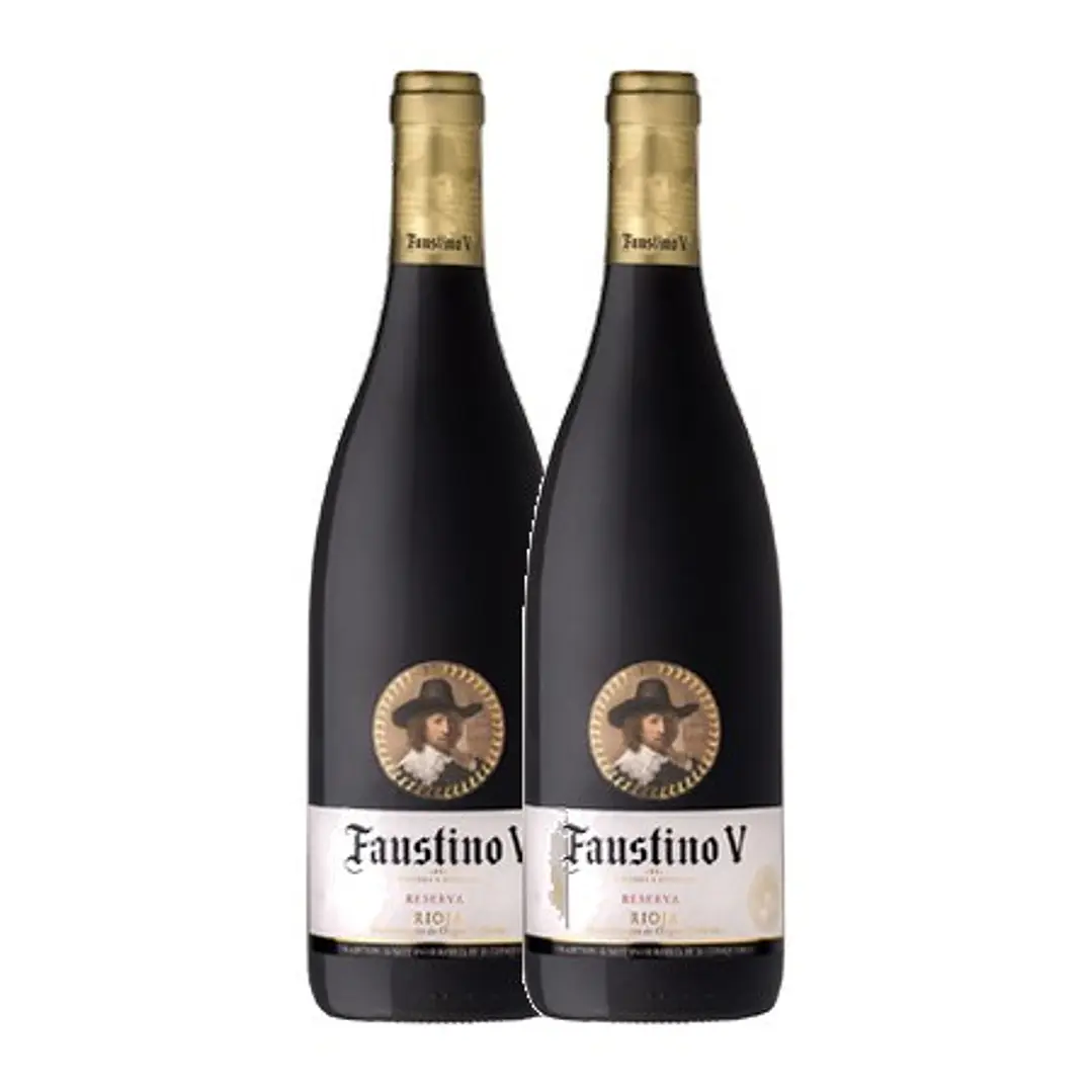 Faustino Reserva Red Rioja 2013 2