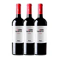 VALDELACIERVA CRIANZA 2015 - vignette 3