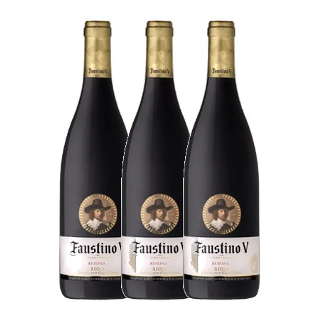 Faustino Reserva Red Rioja 2013 3