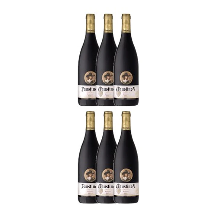 Faustino Reserva Red Rioja 2013 4