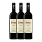 PROTOS CRIANZA 2019 - RIBERA DEL DUERO vol. 14.5% - 75cl - Vorschaubild 3