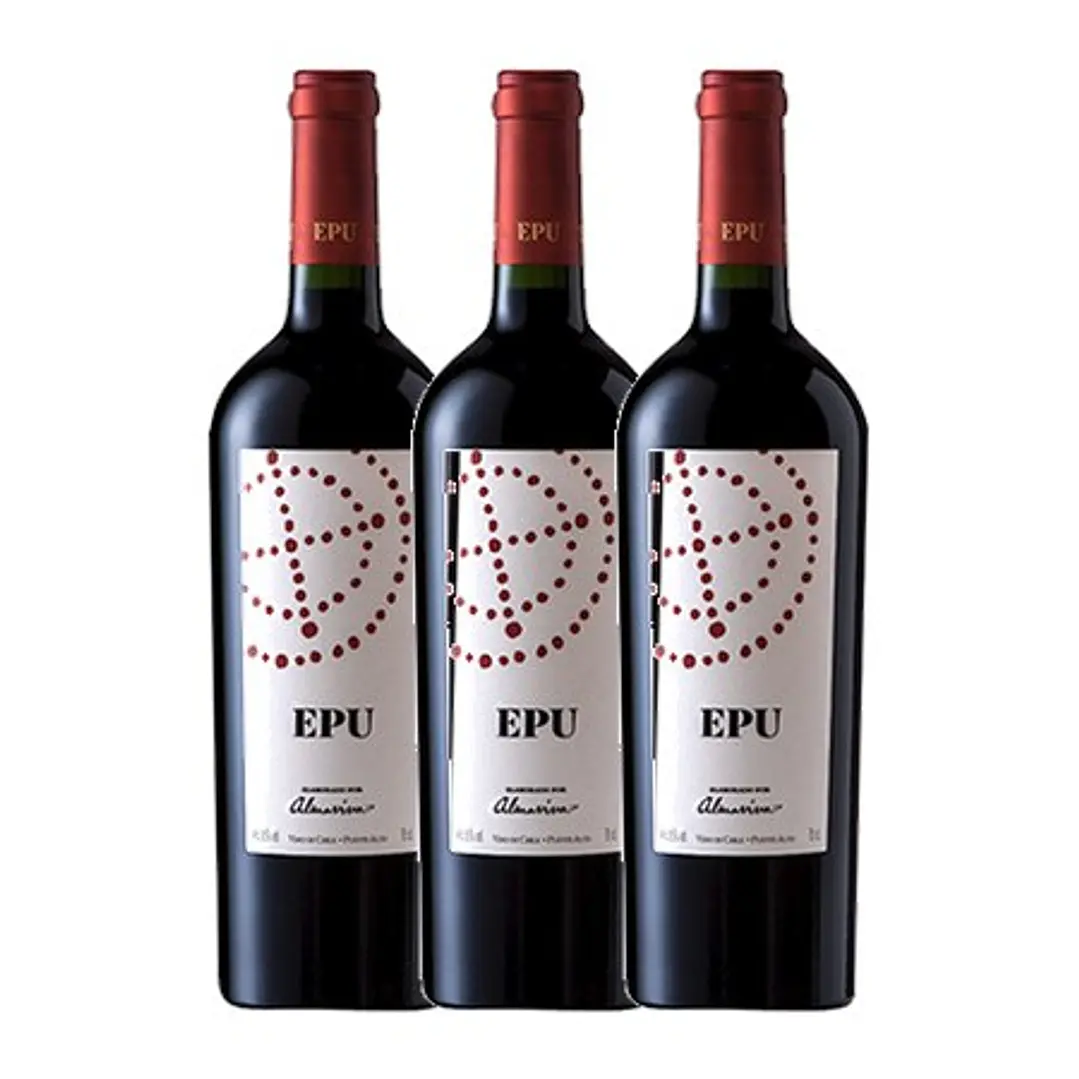 Almaviva EPU Maipo Chili 2019 75cl 3