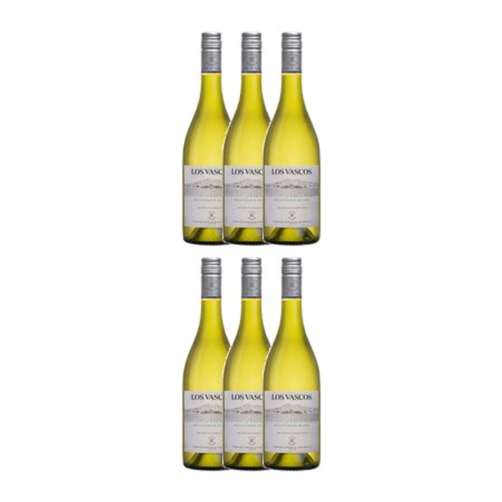 Los Vascos Sauvignon Blanc Chile 2022 - Domaines Barons de Rothschild Lafite - Chile 75cl 4
