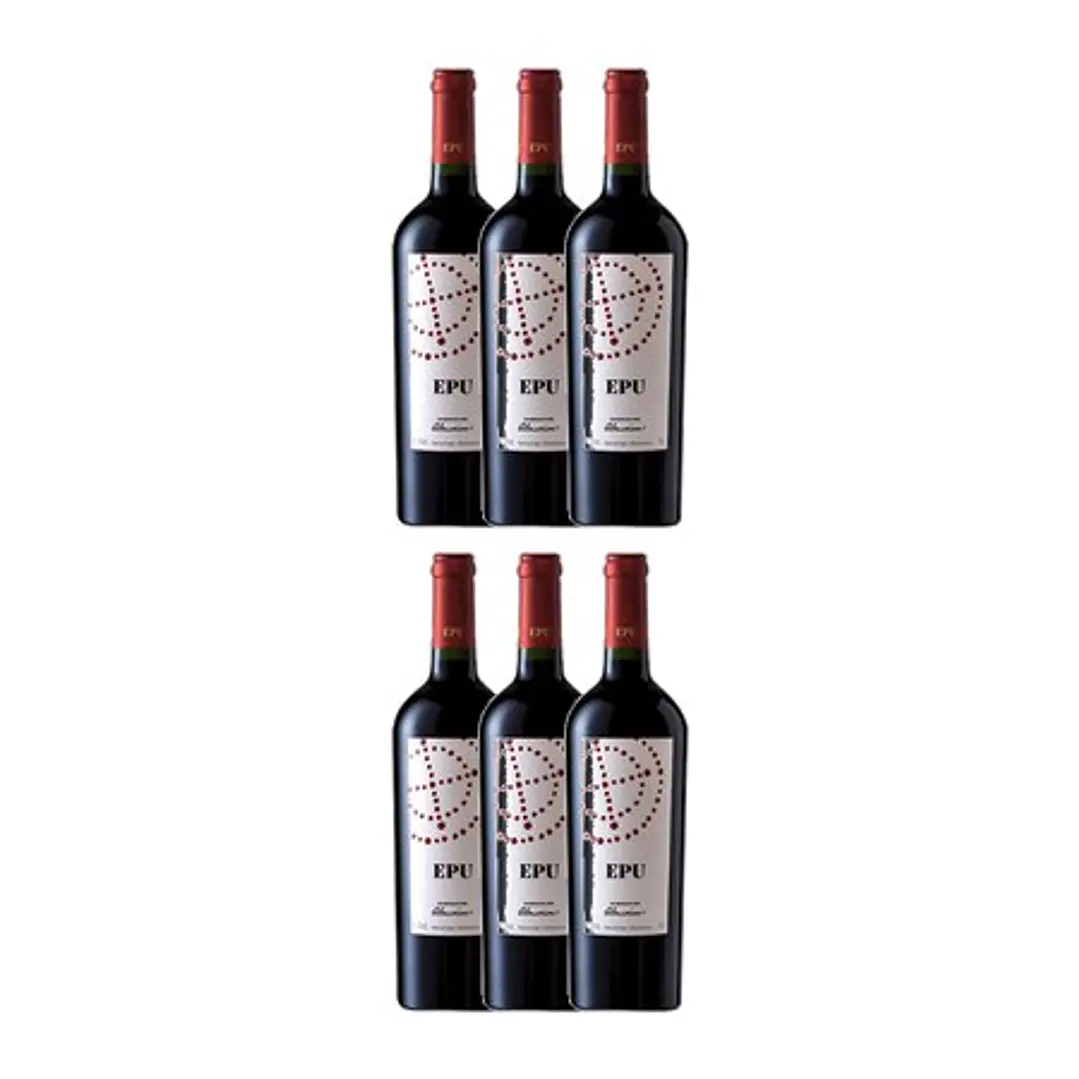EPU de Almaviva Maipo Chile 2020 75cl 4