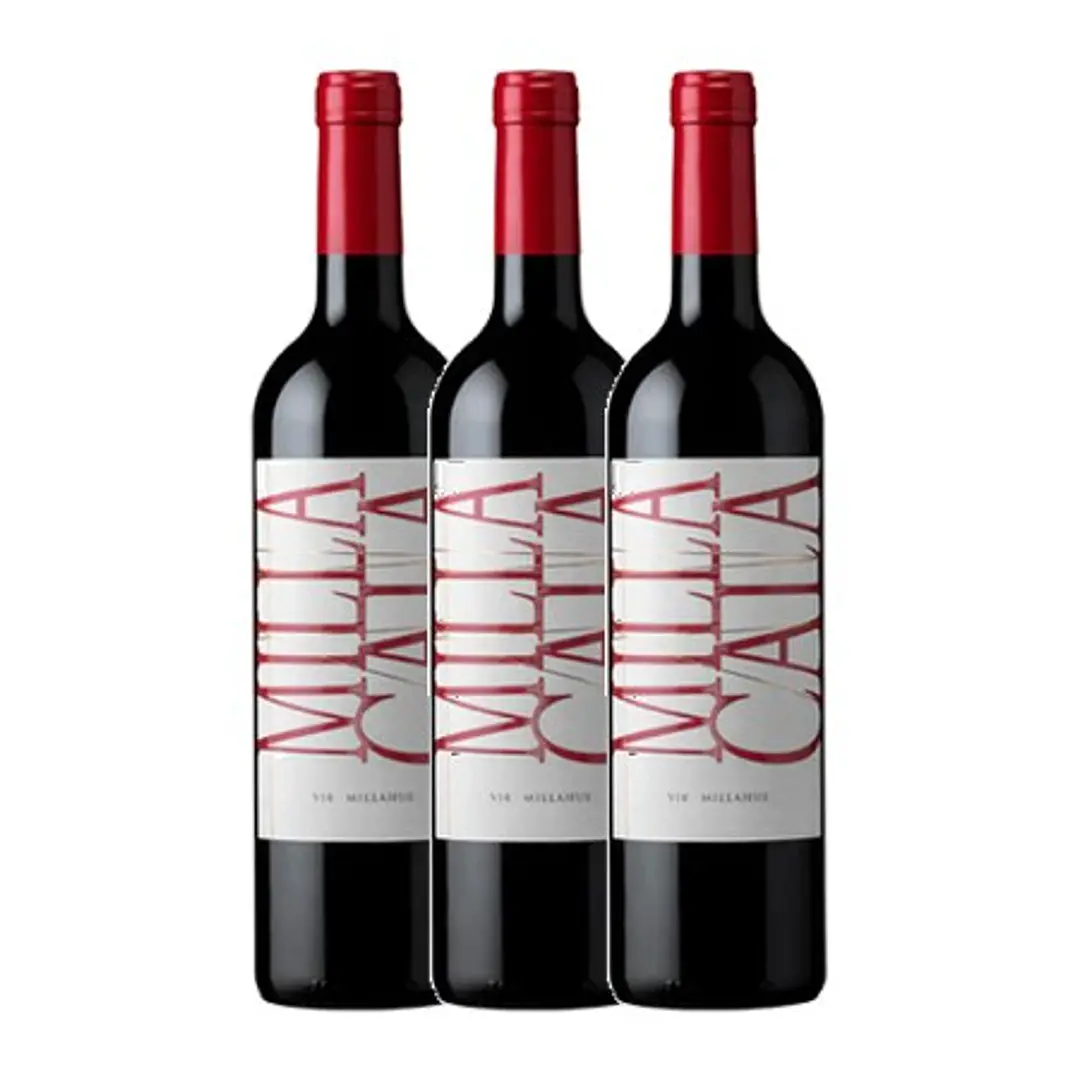 VIK - Milla Cala 2021 Cachapoal Valley   2