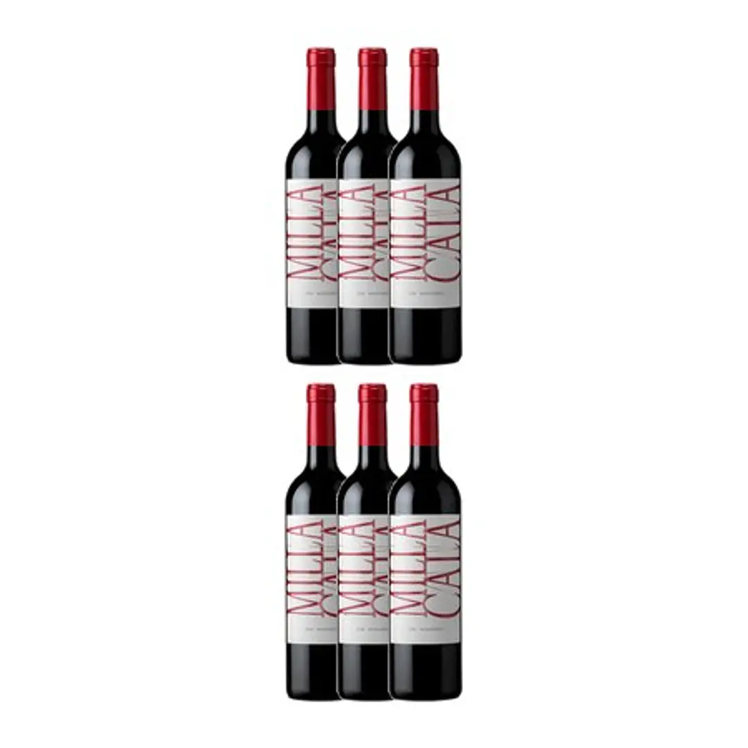 VIK - Milla Cala 2021 Cachapoal Valley   3