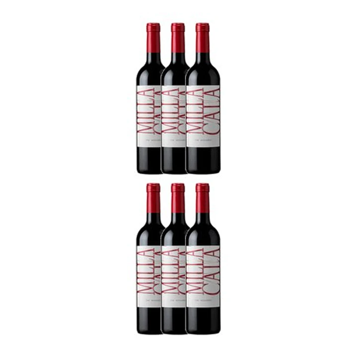VIK - Milla Cala 2021 Cachapoal Valley   3
