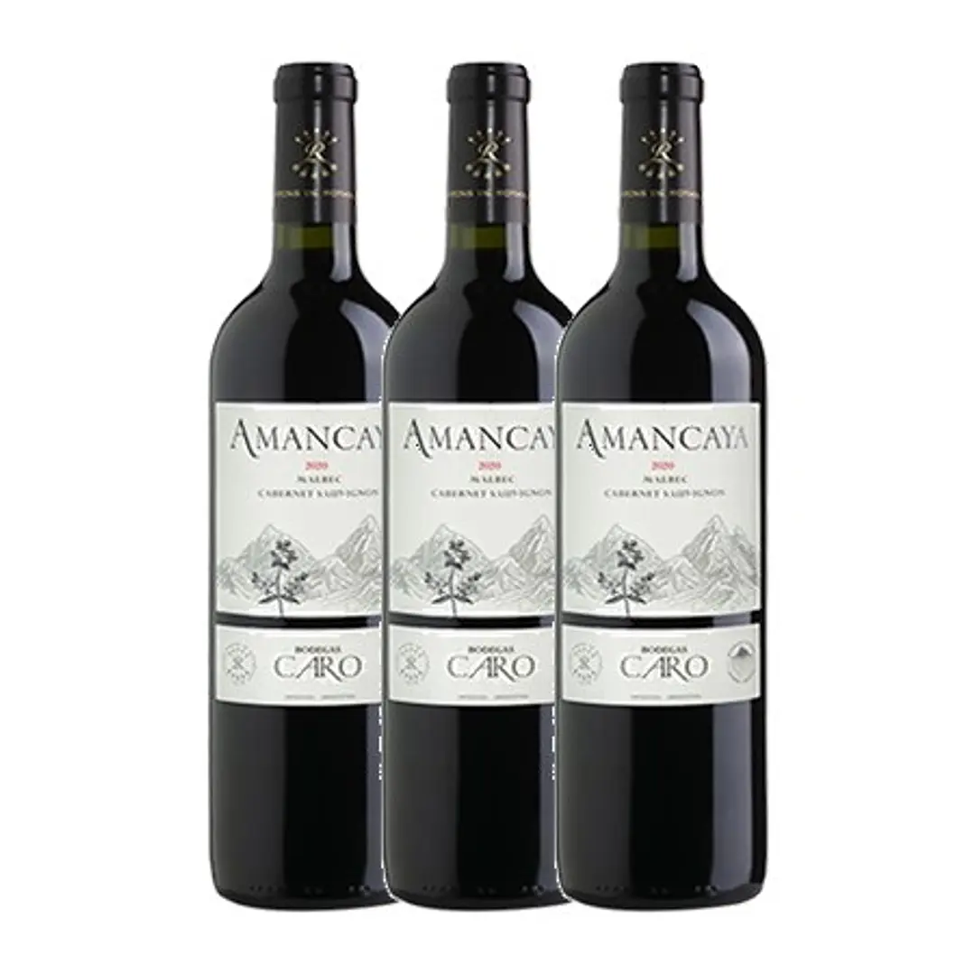 AMANCAYA - Catena Zapata & Rothschild 2020 3