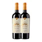 Flechas de Los Andes Gran Corte Rouge Mendoza 2019 - 75cl - vignette 2