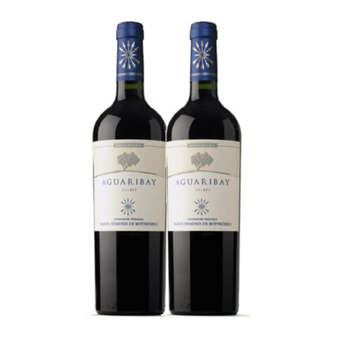 Flechas de Los Andes Aguaribay Tinto Mendoza 2021 2