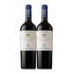 Flechas de Los Andes Aguaribay Tinto Mendoza 2021 - Thumbnail 2