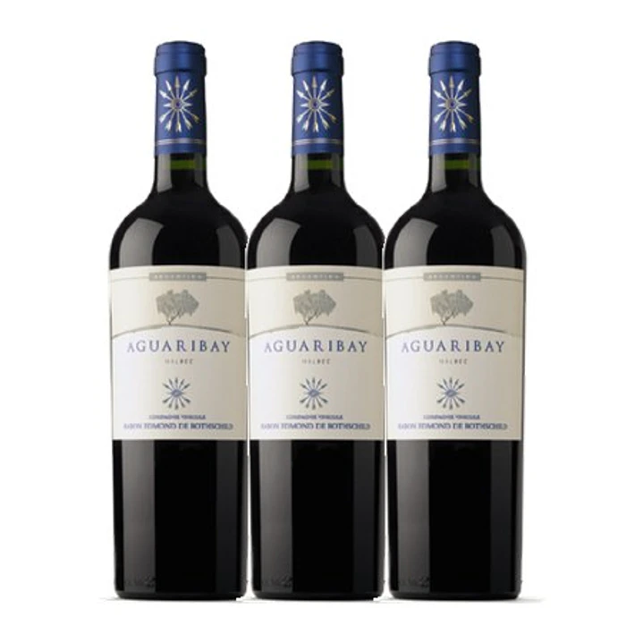 Flechas de Los Andes Aguaribay Tinto Mendoza 2021 3