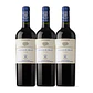 Flechas de Los Andes Aguaribay Tinto Mendoza 2021 - Thumbnail 3