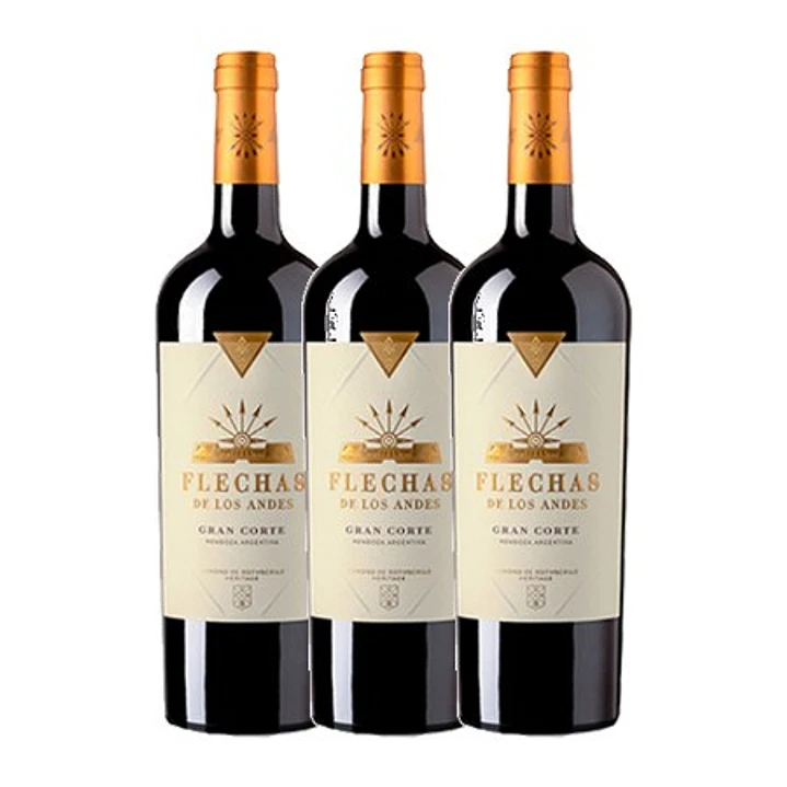 Flechas de Los Andes Gran Corte Rouge Mendoza 2019 - 75cl 3