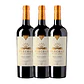 Flechas de Los Andes Gran Corte Rouge Mendoza 2019 - 75cl - vignette 3