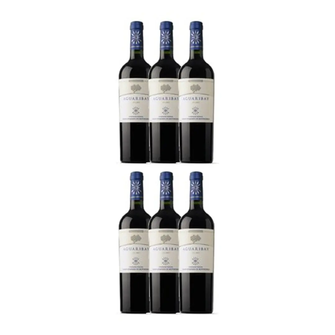 Flechas de Los Andes Aguaribay Tinto Mendoza 2021 4