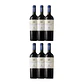 Flechas de Los Andes Aguaribay Tinto Mendoza 2021 - Thumbnail 4
